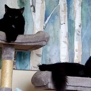 Meet your Posher, Maria